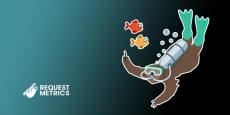 request metrics