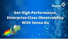sensu